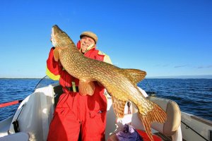 Hecht118cm2.jpg Hecht118cm2.jpg