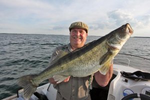 Zander 84cm.jpg Zander 84cm.jpg