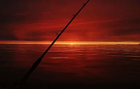 2014-05-25 23.19.41.webp