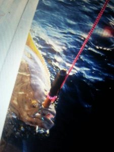 uploadfromtaptalk1402605722498.jpg uploadfromtaptalk1402605722498.jpg