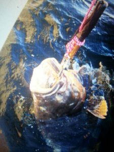 uploadfromtaptalk1402605733342.jpg uploadfromtaptalk1402605733342.jpg