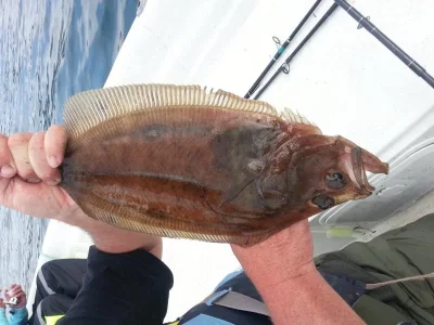 20140603_184546.webp