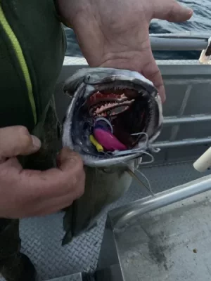 A77C94B8-792E-4A84-AE7E-C70F75CED01D.webp A77C94B8-792E-4A84-AE7E-C70F75CED01D.webp