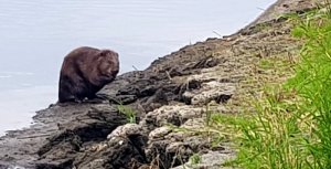 20190711_174702.jpg 20190711_174702.jpg