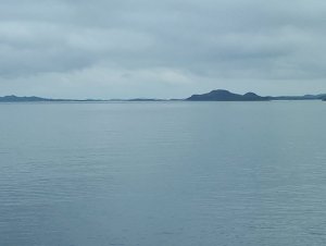 IMG-20190712-WA0001.jpg
