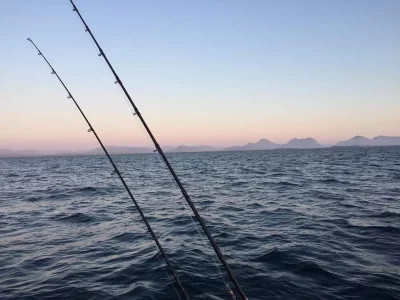 10451ECA-8FB1-44E1-8C0E-59B5A06DC85E.webp 10451ECA-8FB1-44E1-8C0E-59B5A06DC85E.webp