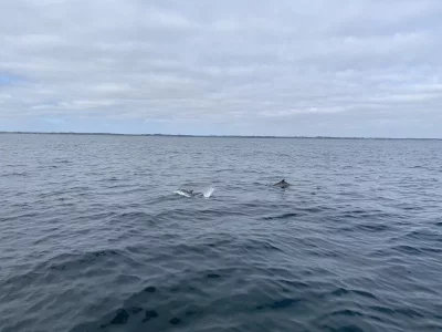 EDF8E250-C6E9-4A47-AAC9-724B4F66FB74.webp EDF8E250-C6E9-4A47-AAC9-724B4F66FB74.webp