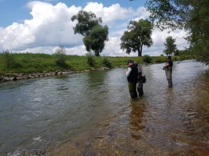 61547CE8-3297-4DD3-B42E-0BF0A3E9F2AC.jpeg 61547CE8-3297-4DD3-B42E-0BF0A3E9F2AC.jpeg