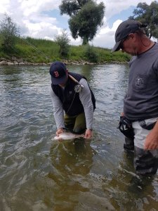 192EDD2C-8C75-440F-8429-62127FC8A173.jpeg 192EDD2C-8C75-440F-8429-62127FC8A173.jpeg