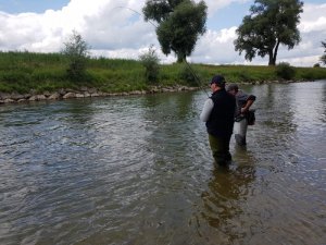 4CEE69AB-B285-47ED-AE63-6C987964CCF7.jpeg 4CEE69AB-B285-47ED-AE63-6C987964CCF7.jpeg