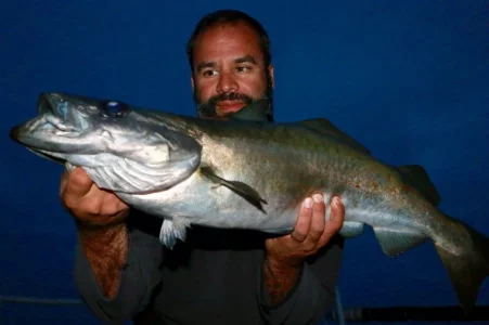 80CC995B-2D1A-4F96-8DBA-BD34DFB81D6C.webp 80CC995B-2D1A-4F96-8DBA-BD34DFB81D6C.webp