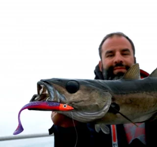 94A0E872-4876-41DE-95CC-D165DE54B1B1.webp 94A0E872-4876-41DE-95CC-D165DE54B1B1.webp