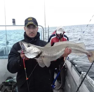 0F40733C-8645-4FA9-861D-5DA3181DAC96.webp 0F40733C-8645-4FA9-861D-5DA3181DAC96.webp