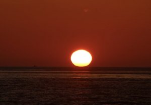 258A98D9-DFAD-4896-BA30-0715A639AAF8.jpeg