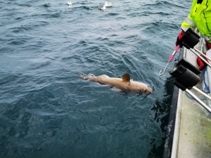 IMG_20190725_145230.jpg
