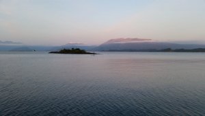 20190802_215141.jpg