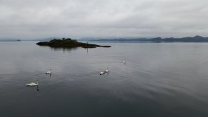 20190803_073746.jpg