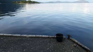 20190805_191356.jpg