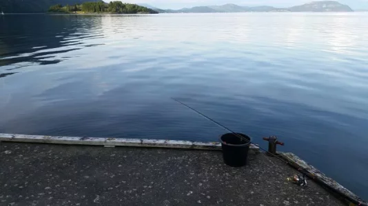 20190805_191356.webp