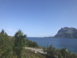 IMG_7132.JPG