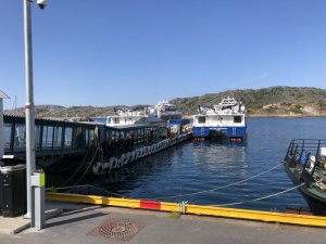 DA5F0722-22BD-4007-9994-E9EC31123CF1.jpeg DA5F0722-22BD-4007-9994-E9EC31123CF1.jpeg