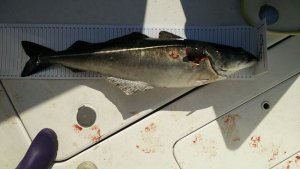 k-IMG_20190809_145836.jpg k-IMG_20190809_145836.jpg