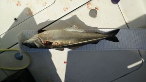 k-IMG_20190809_145826.jpg k-IMG_20190809_145826.jpg
