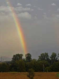 DSCF1026 (2).JPG DSCF1026 (2).JPG