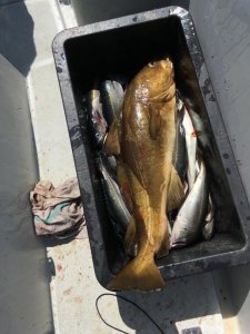IMG-20190709-WA0007.jpg IMG-20190709-WA0007.jpg