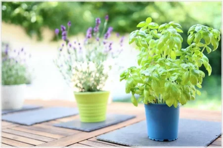 AK0A0285.comp.webp AK0A0285.comp.webp