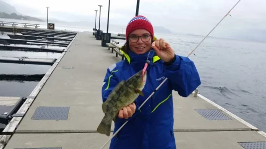 IMG-20190812-WA0015.webp IMG-20190812-WA0015.webp