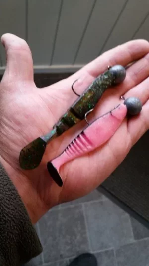 20190813_174405.webp 20190813_174405.webp