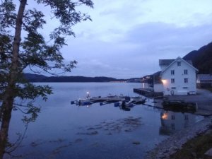 IMG-20190813-WA0050.jpg IMG-20190813-WA0050.jpg