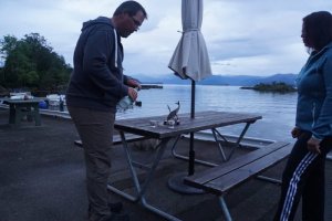 IMG-20190815-WA0053.jpg IMG-20190815-WA0053.jpg