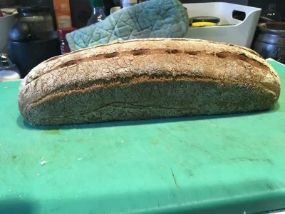 4E28207E-530B-47D0-A562-C263F3D25FF6.webp 4E28207E-530B-47D0-A562-C263F3D25FF6.webp