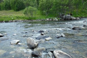 DSCN4401-2.jpg DSCN4401-2.jpg