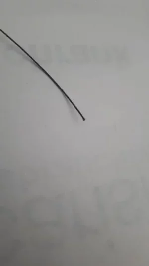 20190822_165842.webp 20190822_165842.webp