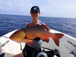 6c33a125-6ab6-4eb5-ba52-13bff00f54ee.jpg 6c33a125-6ab6-4eb5-ba52-13bff00f54ee.jpg