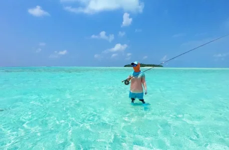 58842263_10213910235810000_980307151232696320_o.webp 58842263_10213910235810000_980307151232696320_o.webp