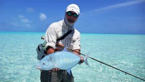 68340969_1578920435577314_1229533499145322496_n.jpg 68340969_1578920435577314_1229533499145322496_n.jpg