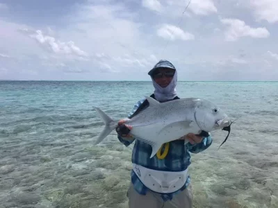 68415037_2110311225938652_5493943481518784512_n.webp 68415037_2110311225938652_5493943481518784512_n.webp