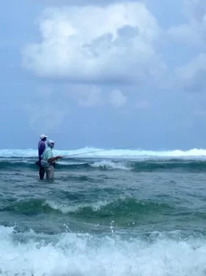 68476699_2110311579271950_8400114393479643136_n.webp 68476699_2110311579271950_8400114393479643136_n.webp