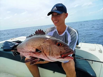 ba034b9d-942a-4457-bcc1-9e06395e5d7f.webp ba034b9d-942a-4457-bcc1-9e06395e5d7f.webp