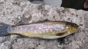 WP_20190914_18_18_47_Pro (2).jpg