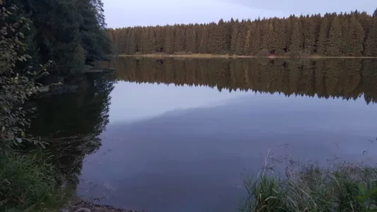 20190914_194256.webp