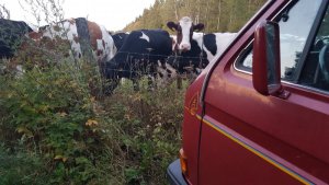 20190914_194049.jpg 20190914_194049.jpg