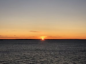 776E7C1C-FA28-4E0E-AFA4-D3548DBCEBF4.jpeg