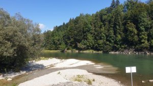 WhatsApp Image 2019-09-16 at 07.34.11 (1).jpeg