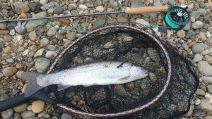 WhatsApp Image 2019-09-15 at 04.32.45.jpeg