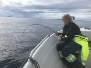 IMG_7218.JPG IMG_7218.JPG